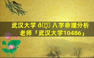 武汉大学 🦆 八字命理分析老师「武汉大学10486」
